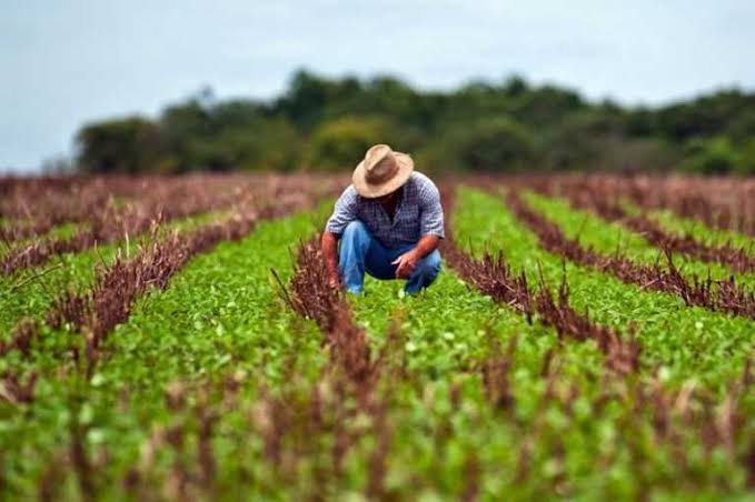 Capa do artigo: Reforma tributária para produtor rural: limite de R$ 3,6 milhões, crédito presumido e CNPJ em 2027